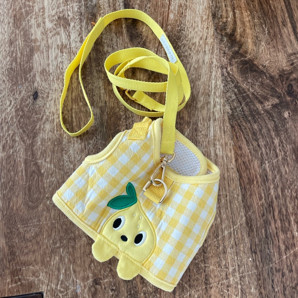 Dog Harness and Leash Set
